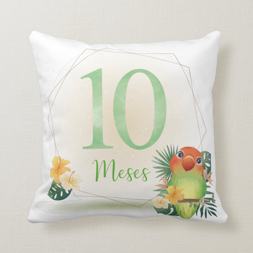 Almofada Mesversário Bebê Menina Infantil Mês 10 Safari Baby - Família (Bebê)