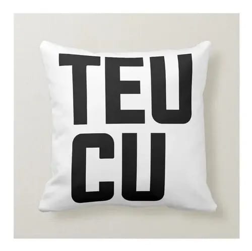 Almofada Decorativa Frase Teu Cu